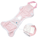 Huisdierenondergoed Outfit