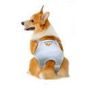 Huisdierenondergoed Outfit