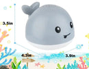 Walvis Sproeier Badspeeltje