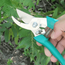 Zware Roestvrijstalen Tuiniersset