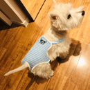 Huisdierenondergoed Outfit