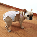 Huisdierenondergoed Outfit