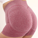 Naadloze Yoga Shorts Hoge Taille - Sneldrogend Plus Size