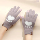 Thermische Gebreide Wanten