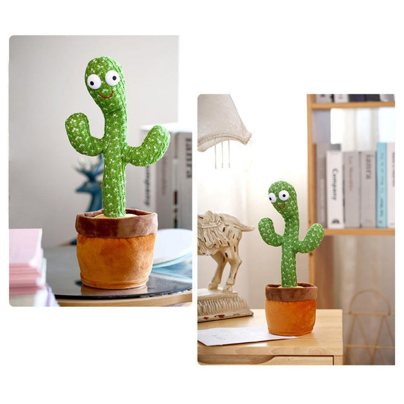 Juan de pratende cactus