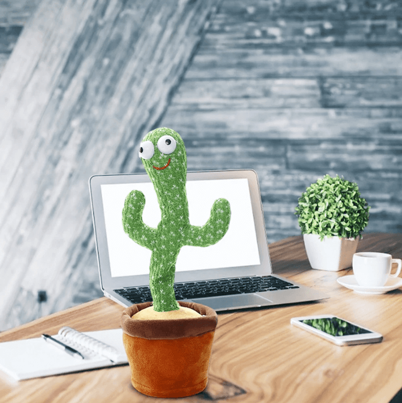 Juan de pratende cactus